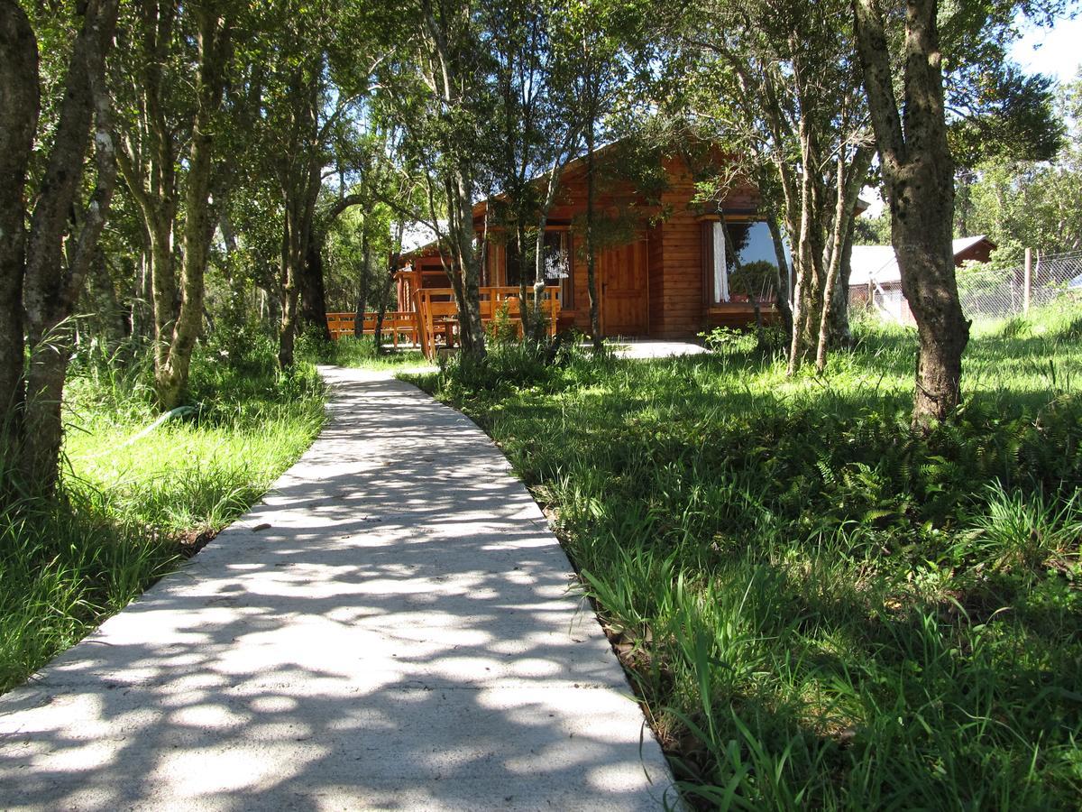 Alojamento Cabanas Raices De *